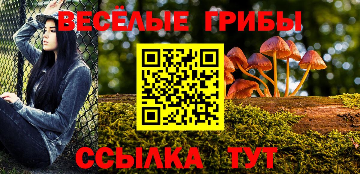 Псилоцибиновые грибы Cubensis Новотроицк